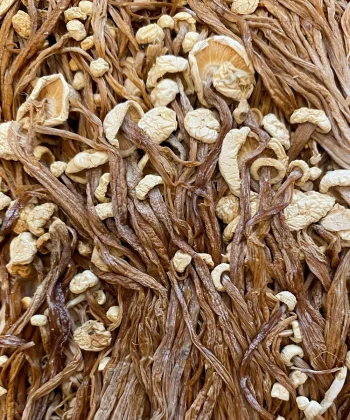 قارچ انوکی نیمه خشک